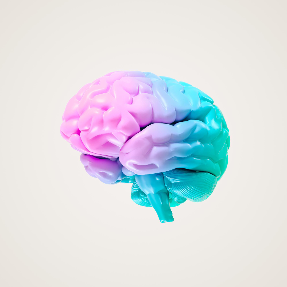 Neuromarketing Vortrag über das Kundenhirn